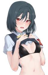 1529372 B