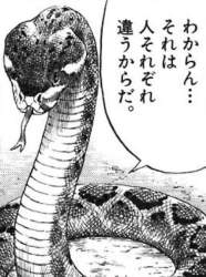 60636 B