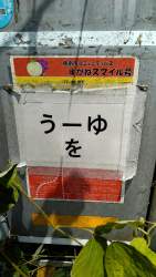 2589181 B