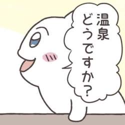 26554 B