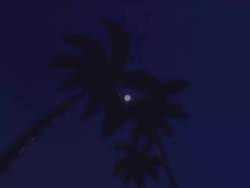 4987436 B