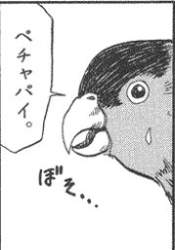 32797 B