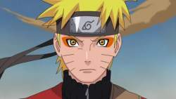 18604 B