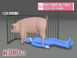 58053 B