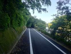 4633502 B