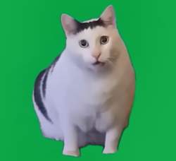 53225 B