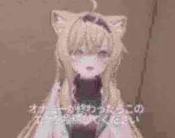 15356 B