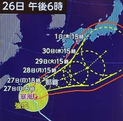 1264853 B