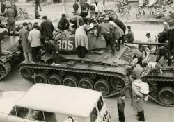 295419 B