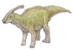 20231 B
