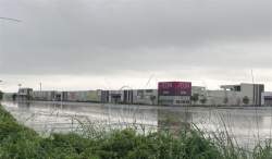 161446 B