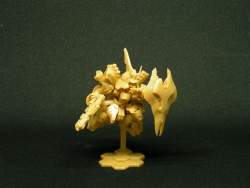 224893 B