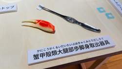 599793 B