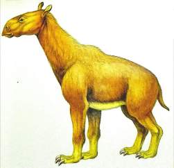166938 B