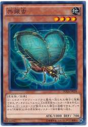 63812 B