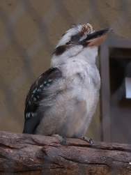 386281 B