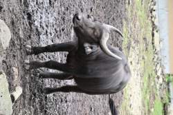 1015764 B