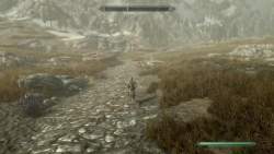 5339088 B
