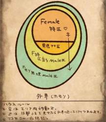 145480 B