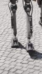 2166114 B