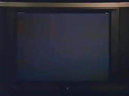 2043303 B