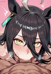 803978 B