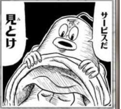 48293 B