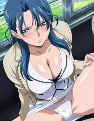 2553617 B