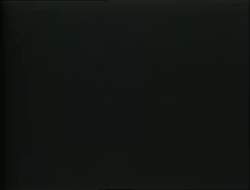 8153383 B