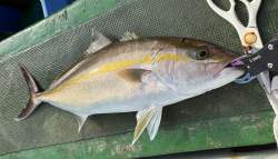 4570553 B