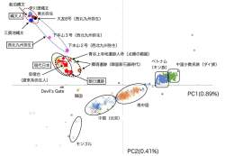 98703 B