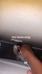 3881868 B