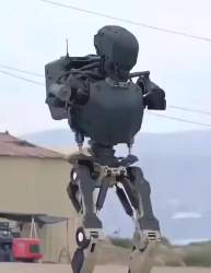 803133 B