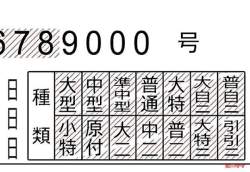 44909 B