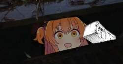 249579 B