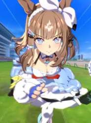 33643 B