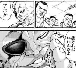 53954 B