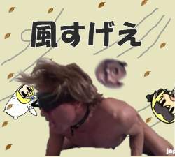 113796 B