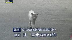 410517 B