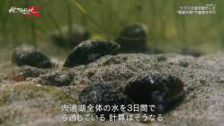 333353 B
