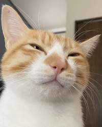 426858 B