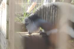 1006592 B