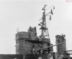 49819 B
