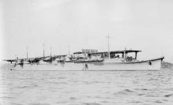 480219 B