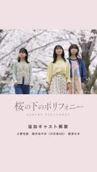33294 B