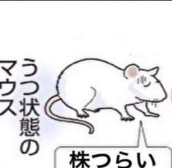 23630 B