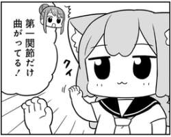 41208 B