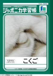 301700 B