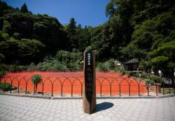 612454 B