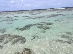 4264989 B